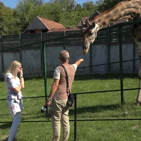 Plava Laguna -crnjanski 아파트