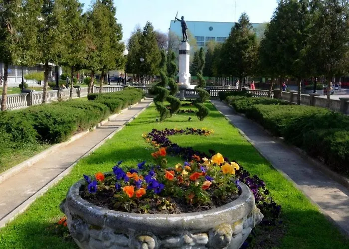 Plava Laguna -crnjanski Ягодина