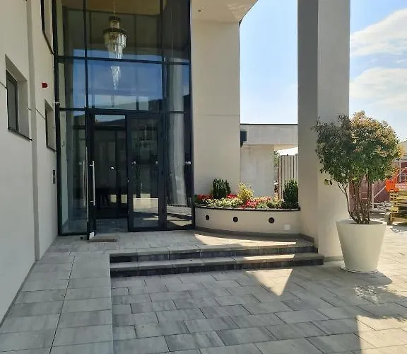 Plava Laguna -crnjanski * Ягодина