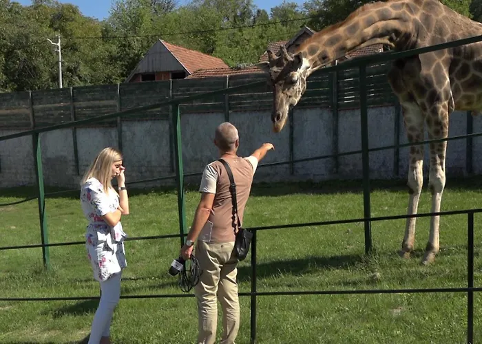 Plava Laguna -crnjanski Апартаменты